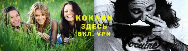 2c-b Касимов