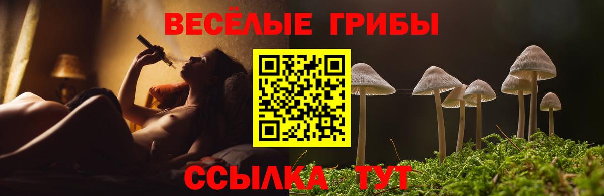 Псилоцибиновые грибы Magic Shrooms  где купить наркоту  Галлюциногенные грибы GOLDEN TEACHER  Строитель  Вход с VPN 