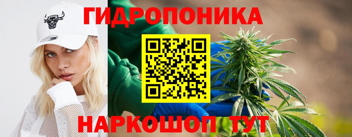 Бошки марихуана сатива Строитель
